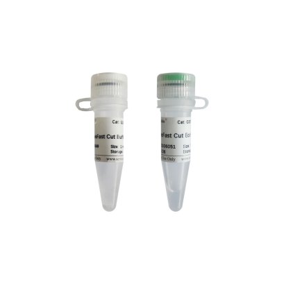 SweFast Cut EcoRI, 500 T (for Restriction Endonucleases)