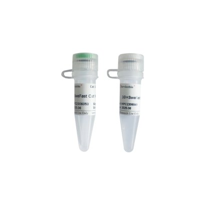 SweFast Cut NheI, 100 T (for Restriction Endonucleases)