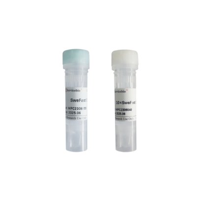 SweFast Cut DpnII, 100 T