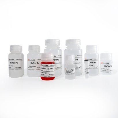 High Purity Plasmid DNA Miniprep Kit