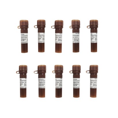 Mycoplasma Elimination Reagent Plus (100×), 10×1 mL