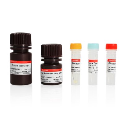 Total Glutathione (T-GSH) Assay Kit (for Biochemical Assay Kit)