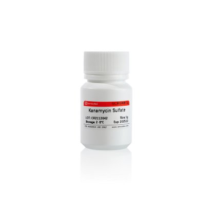 Kanamycin (Antibiotics)