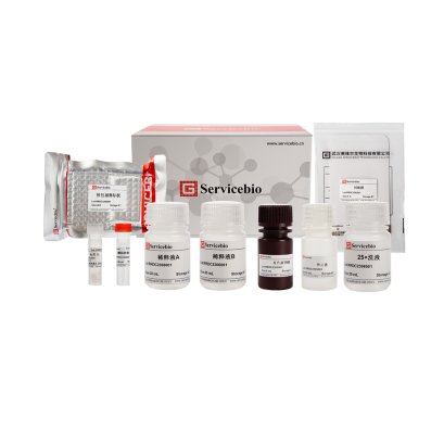 Mouse IgG ELISA Kit