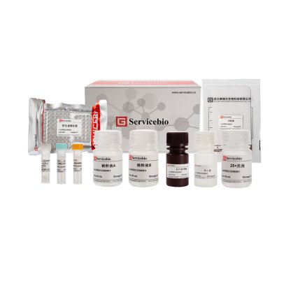 Mouse VEGF ELISA Kit