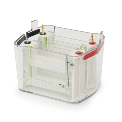 Vertical Electrophoresis System