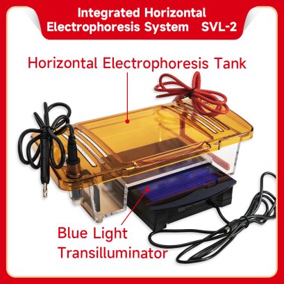 Integrated Horizontal Electrophoresis System （Electrophoresis Tank + blue light transilluminator)