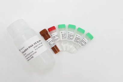 Equalbit RNA HS Assay Kit EQ211