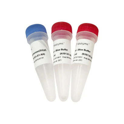 T4 DNA Polymerase N101 (2,000 U)