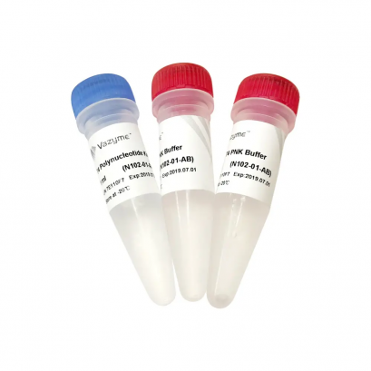 T4 Polynucleotide Kinase N102 (10,000 U)