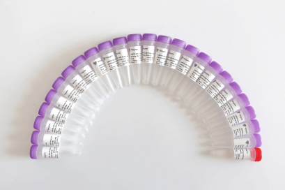 VAHTS Dual UMI UDI Adapters Set 1 – Set 4 for lllumina N354-96 rxns