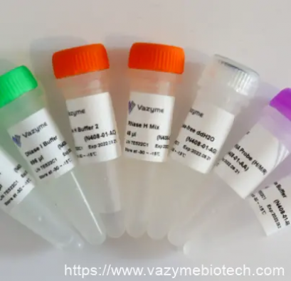Ribo-off Globin &amp; rRNA Depletion Kit (Human/Mouse/Rat) N408
