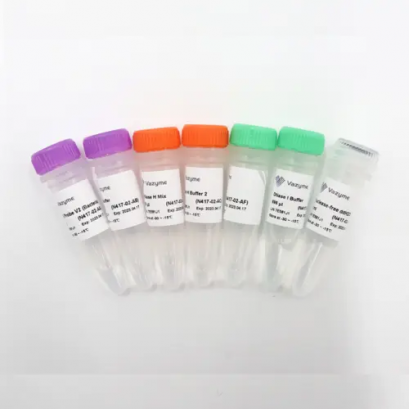 Ribo-off rRNA Depletion Kit V2 (Bacteria) N417