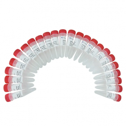 VAHTS RNA Adapters Set 3 – Set 6 for Illumina N812-192 rxns