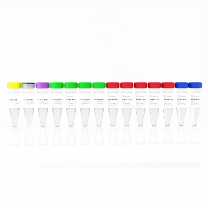 VAHTS Universal Plus DNA Library Prep Kit for Illumina V2 ND627