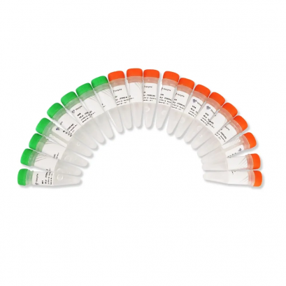 TruePrep Index Kit V2 for Illumina TD202-192 rxns