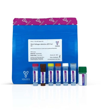 Porcine reproductive and respiratory syndrome virus (PRRSV) Multiplex