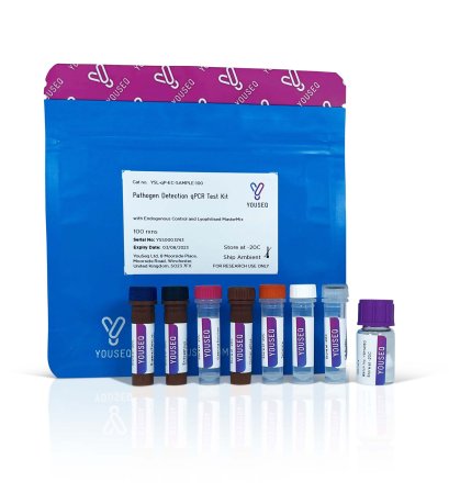 Human Respiratory Syncytial Virus B