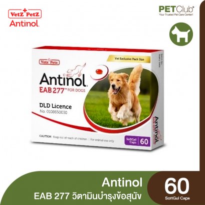 Antinol®️ EAB 277™ - วิตามินบำรุงกระดูกและข้อ สุนัข 60 แคปซูล