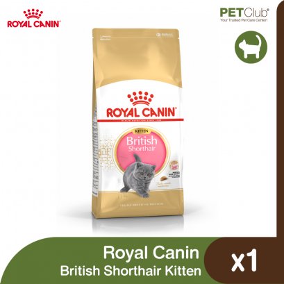 Royal Canin British Shorthair Kitten - ลูกแมว พันธุ์บริติช ชอร์ตแฮร์