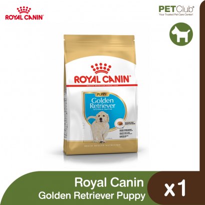 Royal Canin Golden Retriever Puppy - ลูกสุนัข พันธุ์โกลเด้น รีทรีฟเวอร์