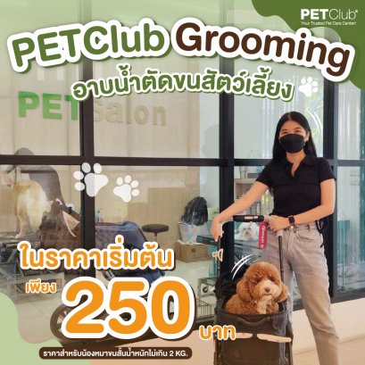 PETClub Grooming อาบน้ำตัดขนราคาเริ่มต้น 250 บาท!