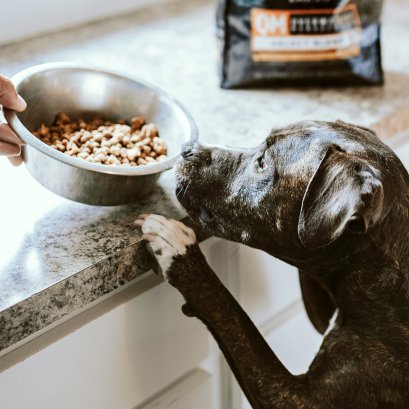 ขายอาหารสุนัขทุกประเภท