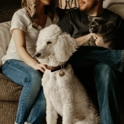 5 สัตว์เลี้ยงยอดฮิต เพื่อนฮีลใจในวันที่เหนื่อยล้า