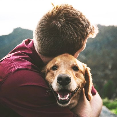 5 เทคนิคการป้องกัน และกำจัดกลิ่นตัวในน้องมะหมา