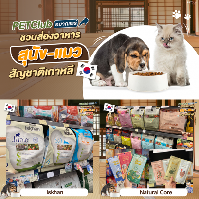 อาหารสัตว์เกาหลี