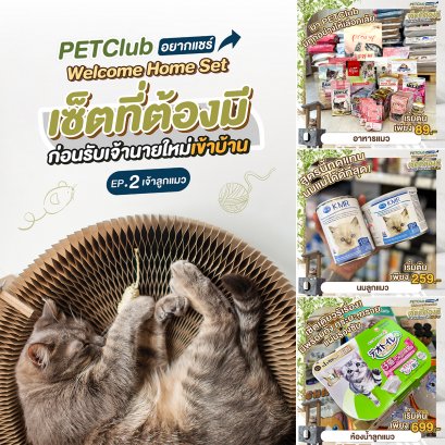 เซ็ตที่ต้องมีก่อนรับเจ้านายใหม่ EP.2 เจ้าลูกแมว
