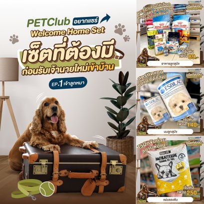 เซ็ตที่ต้องมีก่อนรับเจ้านายใหม่ EP.1 เจ้าลูกหมา
