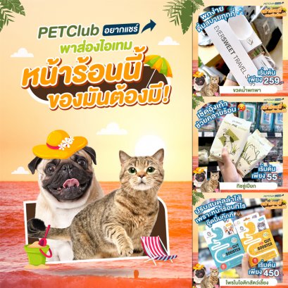 หน้าร้อน 2023 ของมันต้องมี