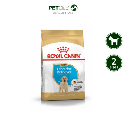 Royal Canin Labrador Retriever Puppy - ลูกสุนัข พันธุ์ลาบราดอร์ รีทรีฟเวอร์