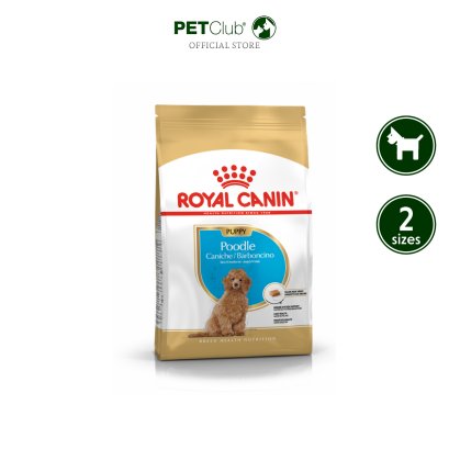 Royal Canin Poodle Puppy - ลูกสุนัข พันธุ์พุดเดิ้ล