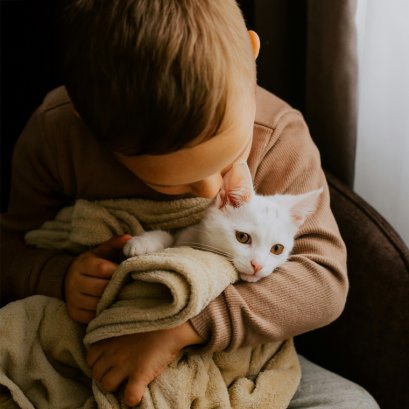 วิธีดูแลแมวให้แข็งแรง 