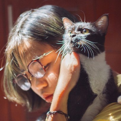  ธุรกิจแมวเติบโต