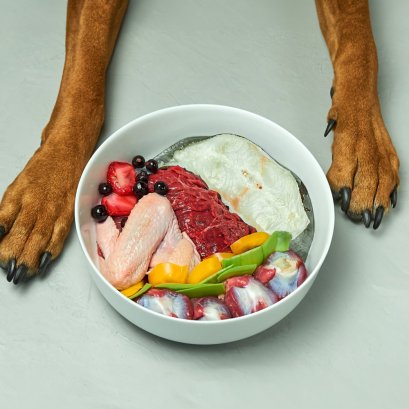 อาหารแบบฟังก์ชันหมาแมว เสริมภูมิคุ้มกัน เทรนด์ 2026