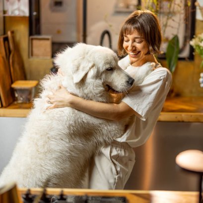 เลือกอาหารสุนัขอย่างไรให้เหมาะกับน้องหมา