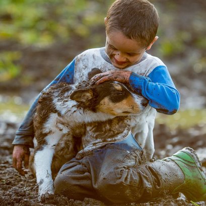 สัญญาณที่บอกว่าน้องหมาน้องแมว ควรอาบน้ำหรือตัดขนได้แล้ว