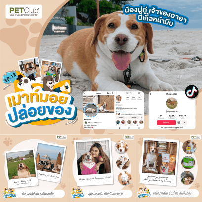 EP.12 น้องมู่ทู่ เจ้าของฉายา บีเกิลหน้ามีม