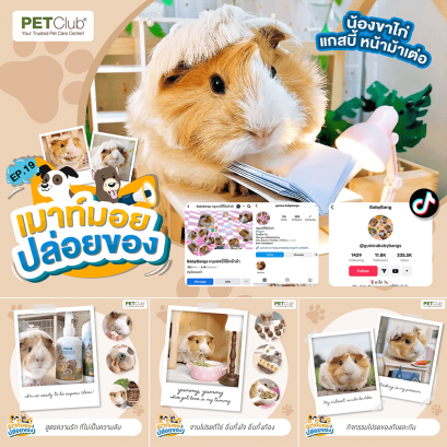 EP.19 น้องขาไก่ แกสบี้ หน้าม้าเต่อ