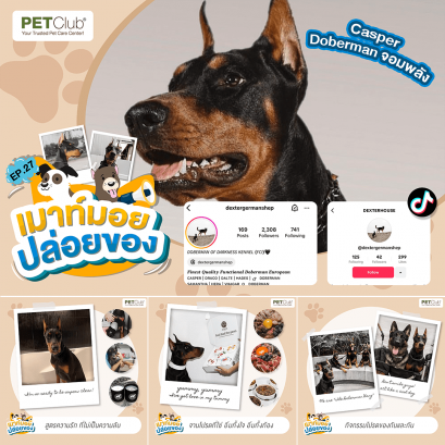 EP.27 Casper Doberman จอมพลัง