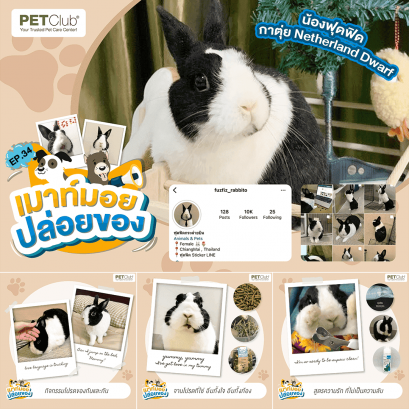 EP.34 น้องฟุดฟิด กาตุ่ย Netherland Dwarf