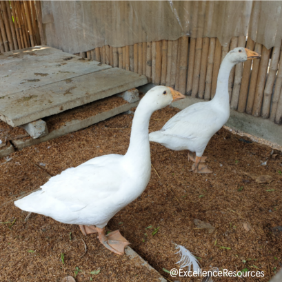 มอบหมายงานให้ได้งาน