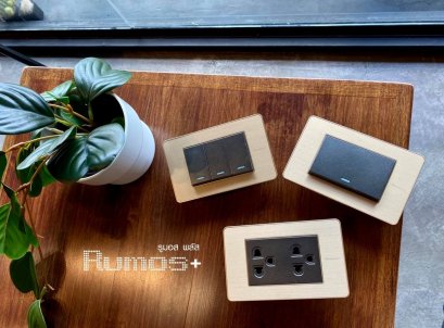 RUMOS PLUS GOLD SERIES SWITCH