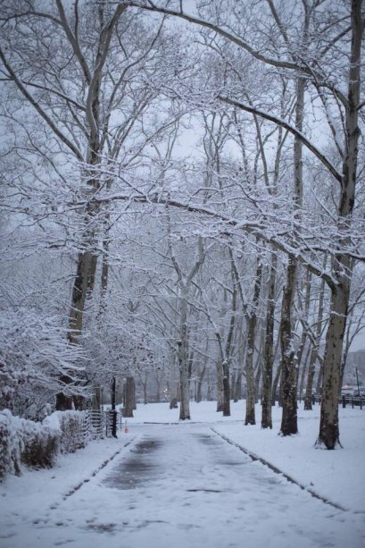 ❄️ ❄️RUMOS พาชมหิมะตกที่ NEW YORK ❄️ ❄️