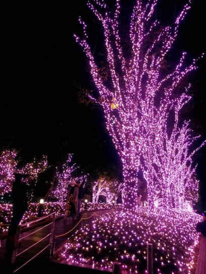 Rumos พาชม illumination