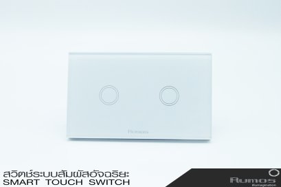 Rumos touch switch  2gangs 1 way white with remote function