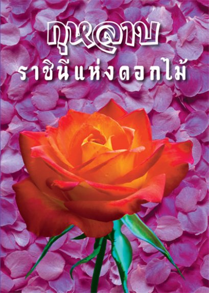 กุหลาบ ราชินีแห่งดอกไม้